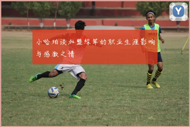 小哈珀谈加盟绿军的职业生涯影响与感激之情